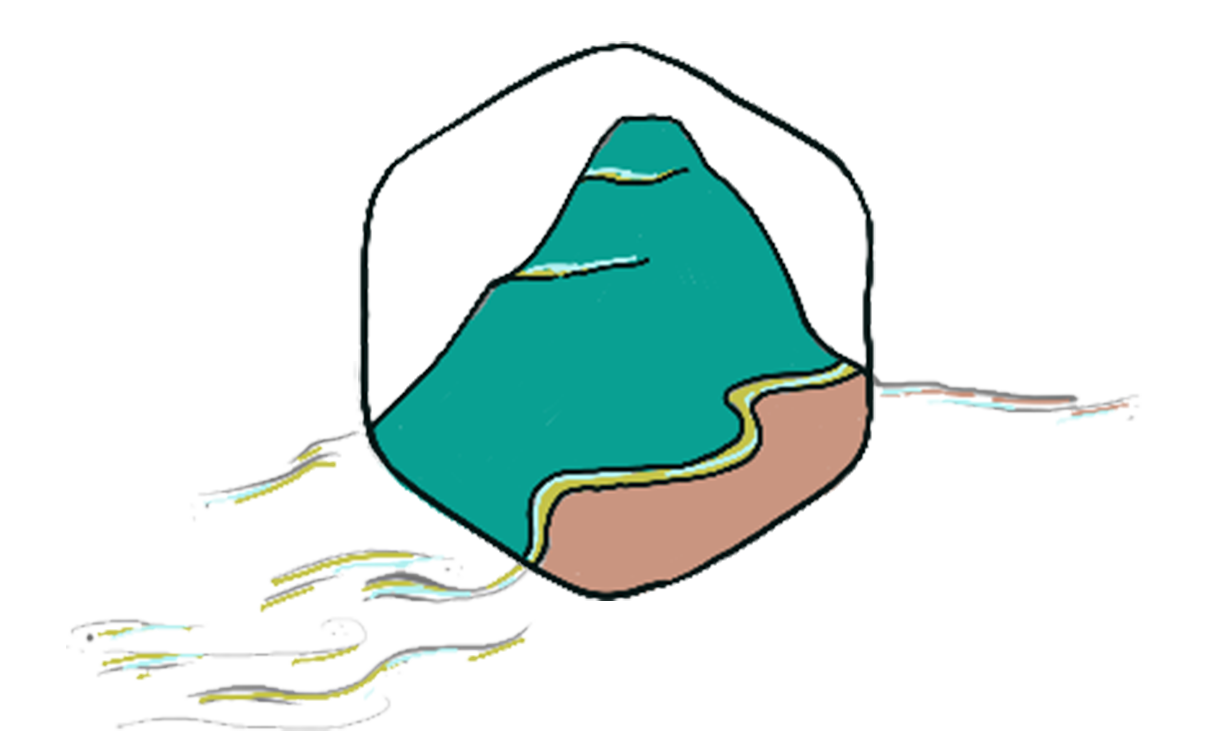 Conflicts, Harm & Apologies