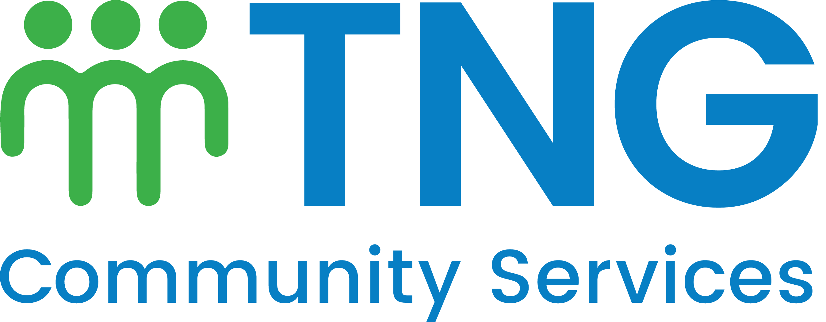 The Neighbourhood Group Community Services